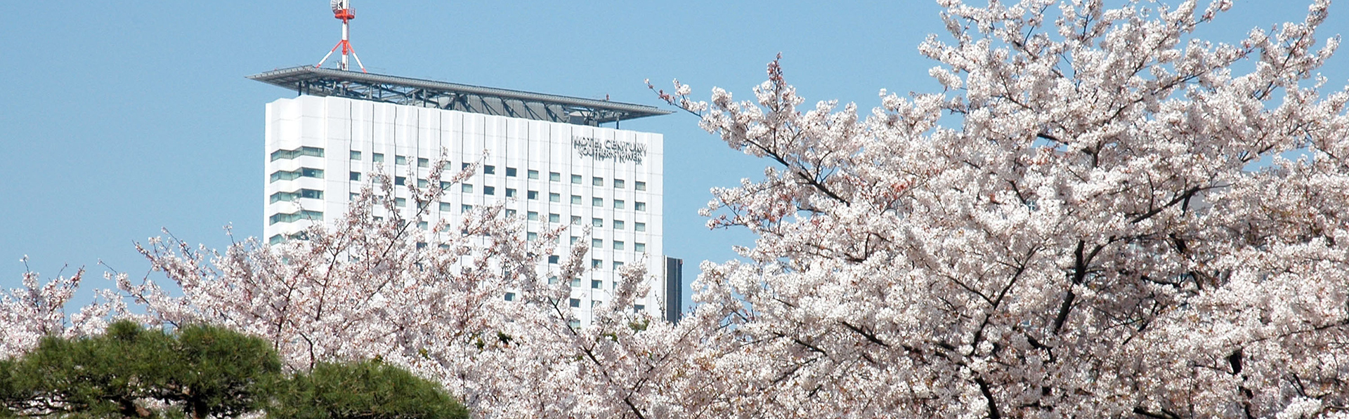 目の前に広がる大パノラマ