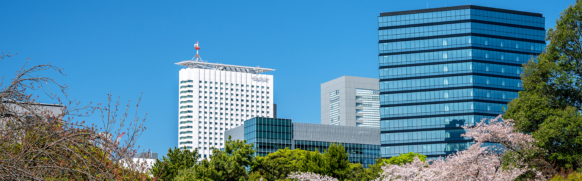 目の前に広がる大パノラマ