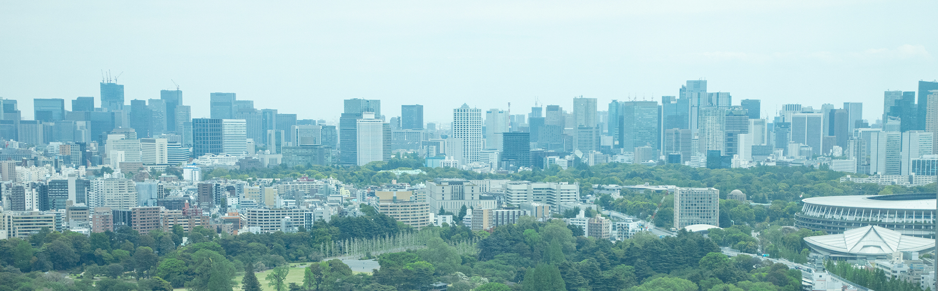 目の前に広がる大パノラマ