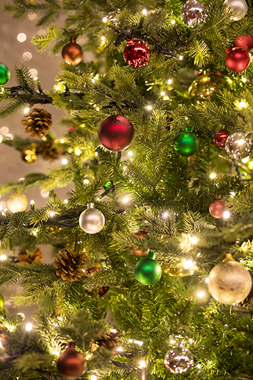 クリスマスランチイメージ