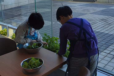 参加型職場体験の実施